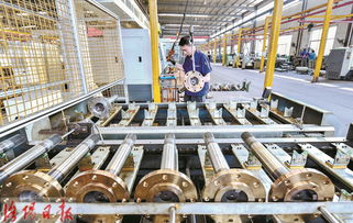 洛陽(yáng)造軸產(chǎn)品走俏市場(chǎng)，汽車零配件產(chǎn)業(yè)彰顯新活力